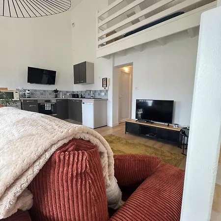 Luxurious And Bright T1 Bis