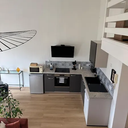 Appartement Luxurious And Bright T1 Bis