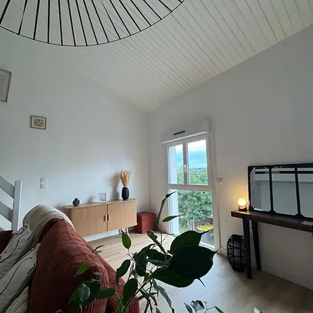 Appartement Luxurious And Bright T1 Bis *