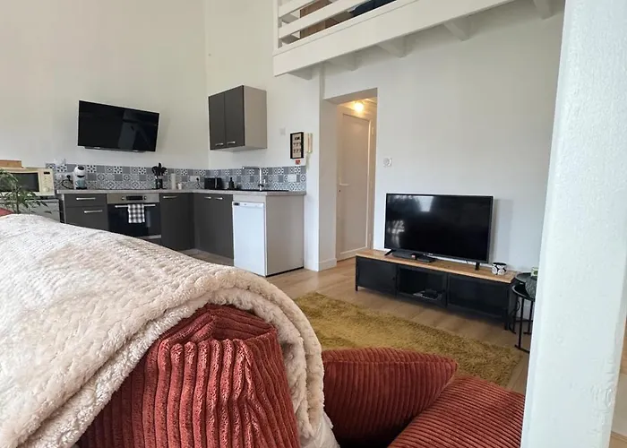 Luxurious And Bright T1 Bis