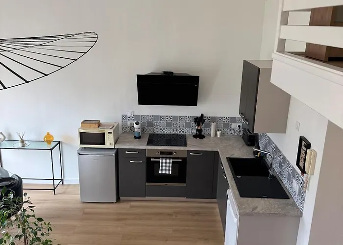 Apartment Luxurious And Bright T1 Bis