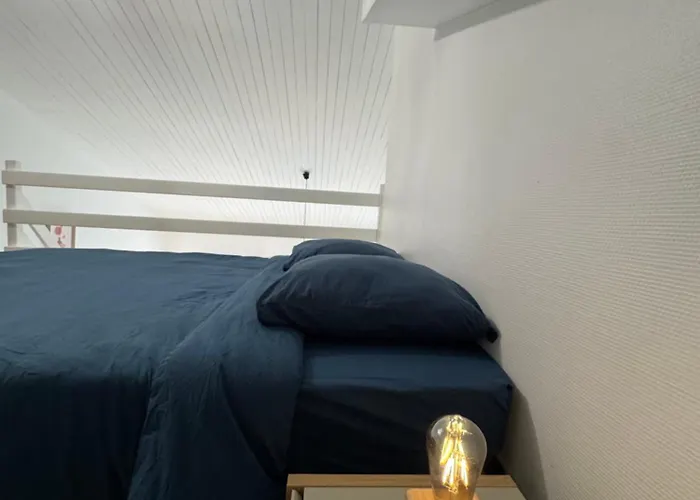 Luxurious And Bright T1 Bis Apartment